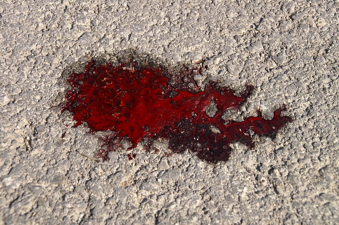 PICT1596 small hedgehog blood Kalyves.jpg - 377372 Bytes